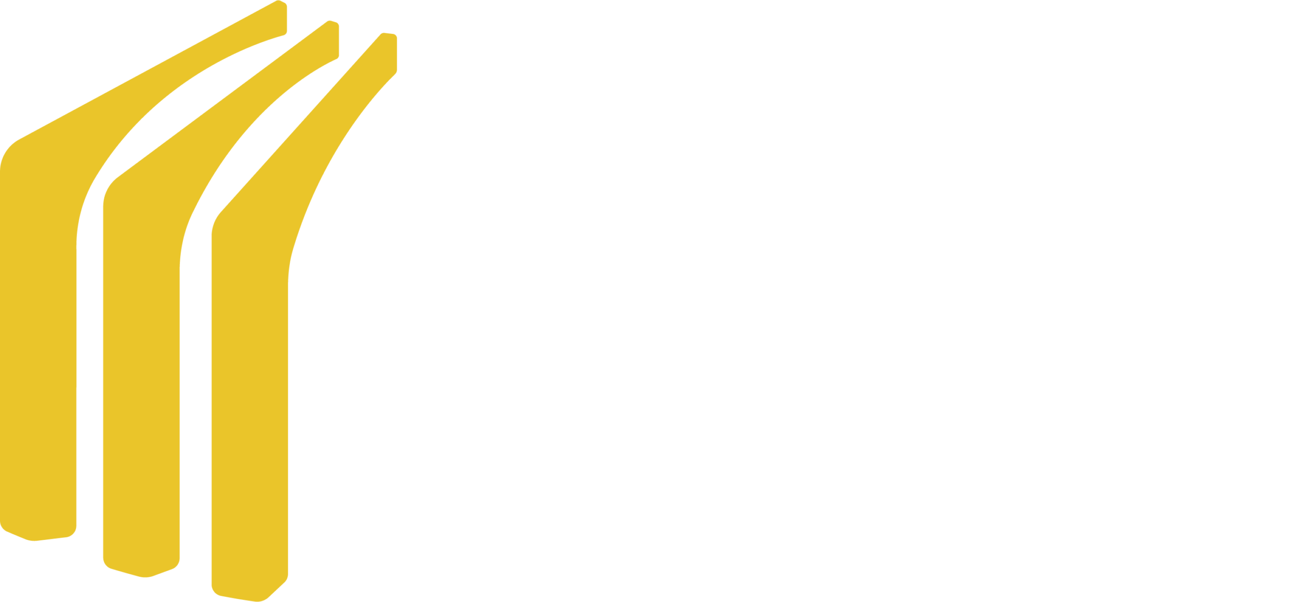 ICON Custom Builder